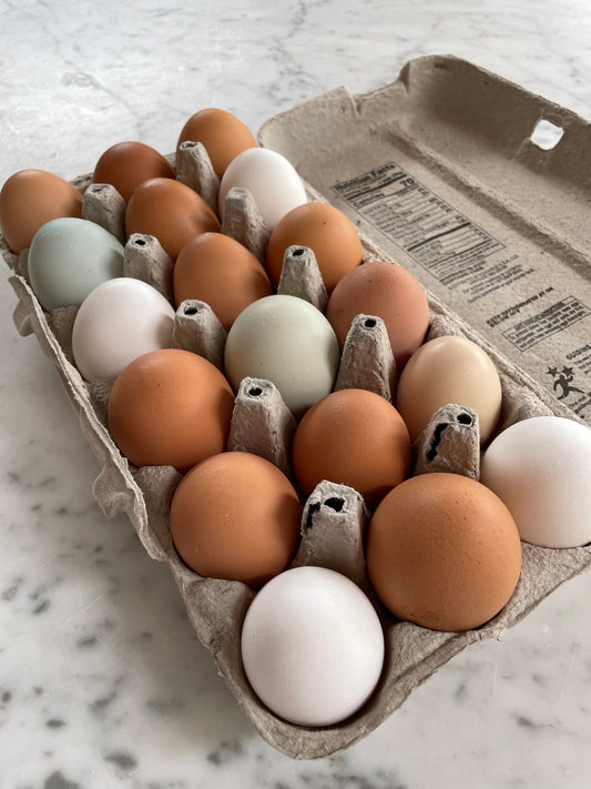 Pastured Raised Eggs - 1 Doz